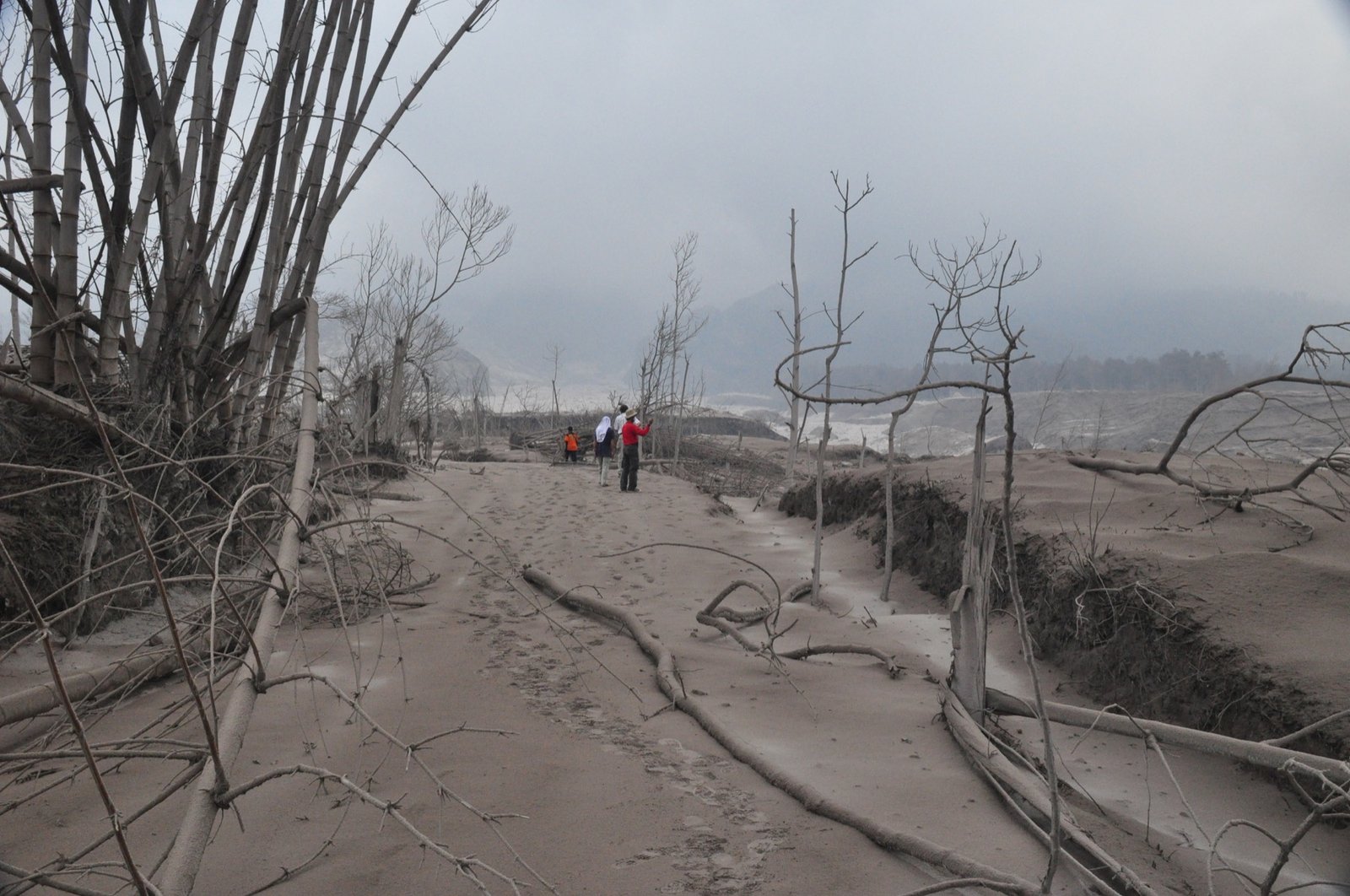 Volcanic eruption and ash-affected area